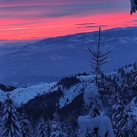 Отель Uki & Sofi Mountain House Копаоник Экстерьер фото