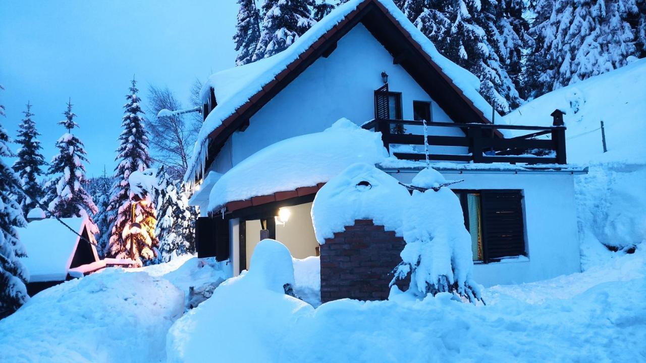 Отель Uki & Sofi Mountain House Копаоник Экстерьер фото