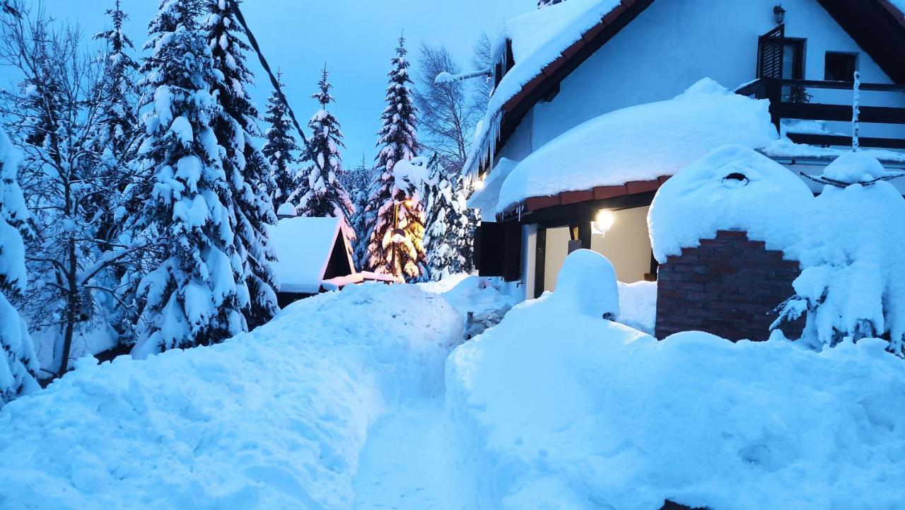 Отель Uki & Sofi Mountain House Копаоник Экстерьер фото