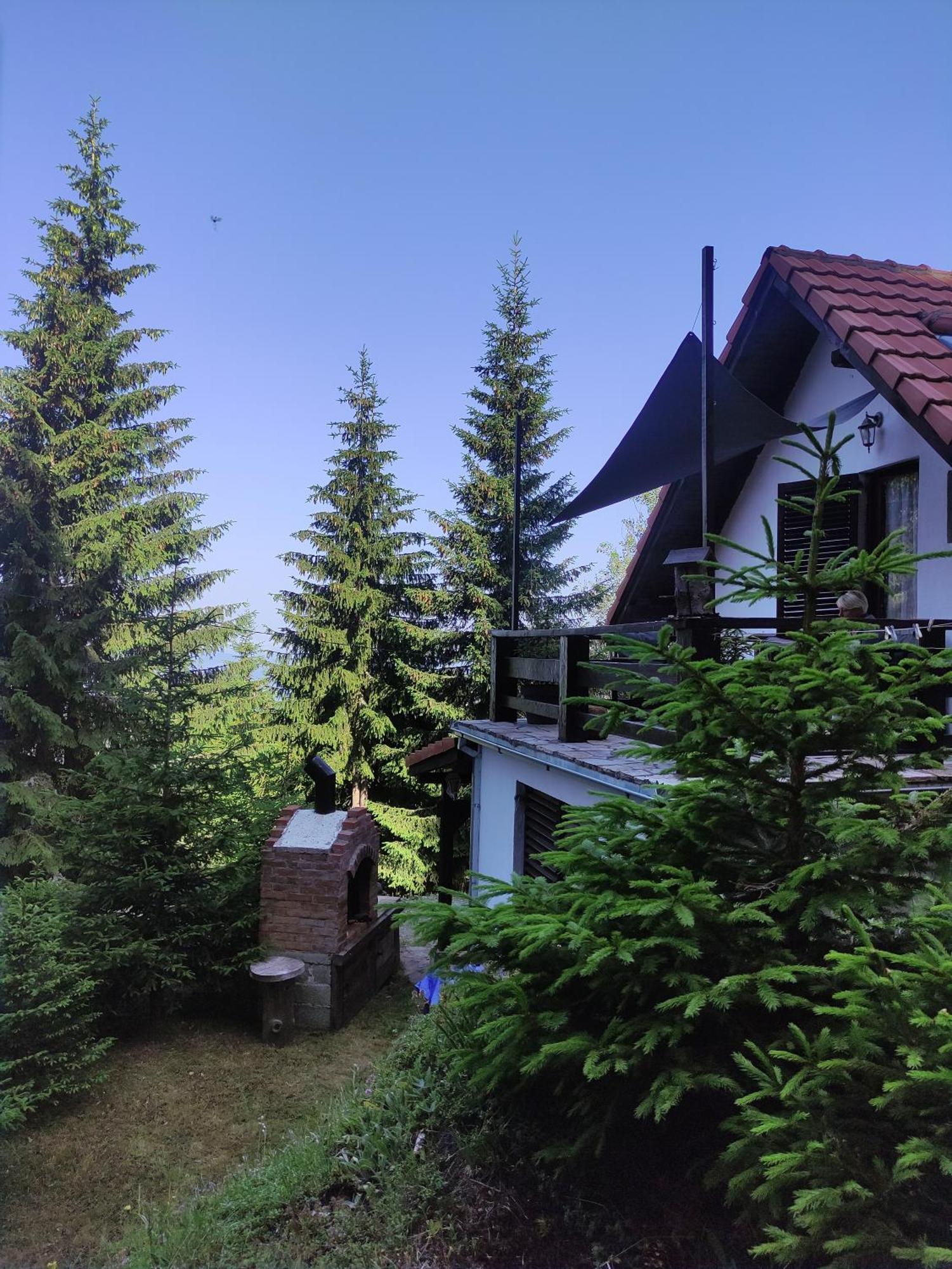 Отель Uki & Sofi Mountain House Копаоник Номер фото