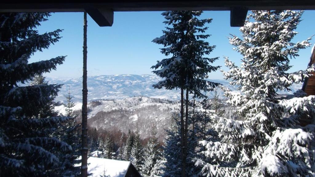 Отель Uki & Sofi Mountain House Копаоник Экстерьер фото